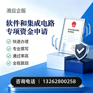 聊城软件和集成电路专项资金申报服务