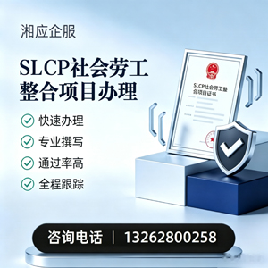 聊城SLCP社会劳工整合项目申报服务