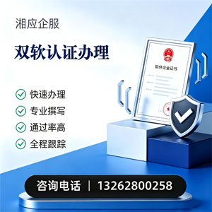 聊城双软认证申报服务