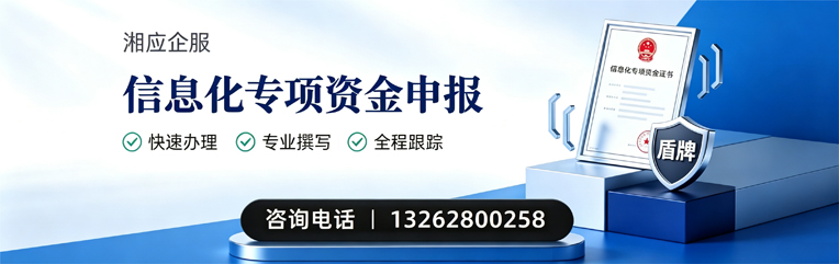 聊城信息化专项资金申报服务