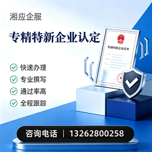聊城专精特新企业申报服务