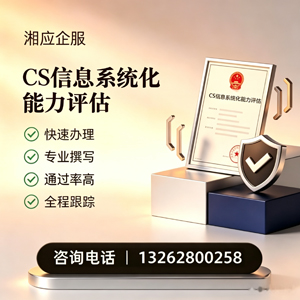 聊城CS信息系统化能力评估申报服务