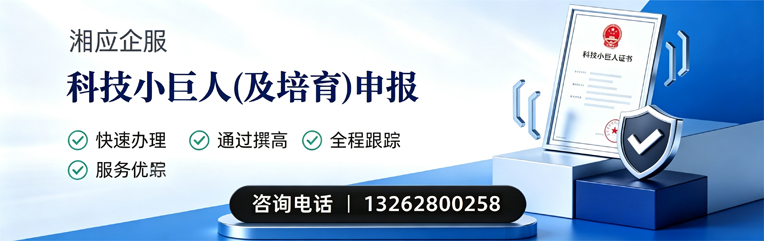 聊城科技小巨人及培育企业申报服务