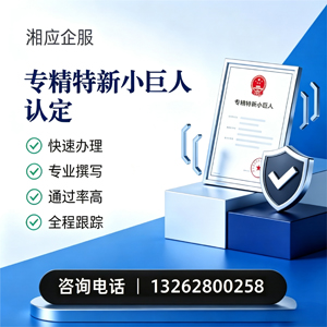 聊城专精特新小巨人申报服务