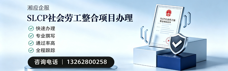 聊城SLCP社会劳工整合项目申报服务