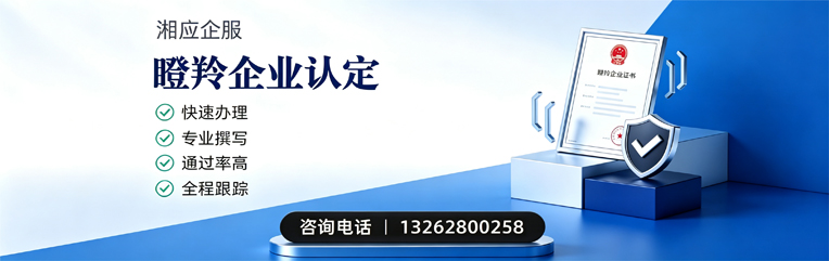 聊城瞪羚企业认定申报服务