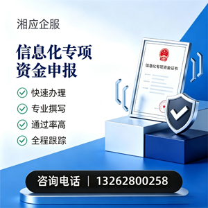 聊城信息化专项资金申报服务