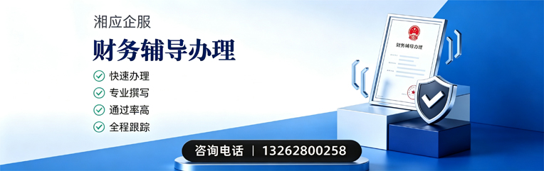 聊城财务辅导申请服务
