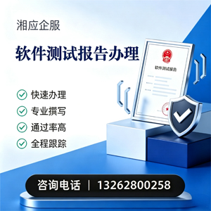 聊城软件检测报告申请服务