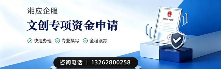 聊城文创专项资金申报服务