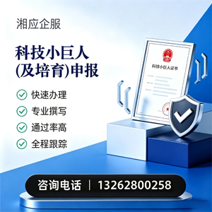 聊城科技小巨人及培育企业申报服务