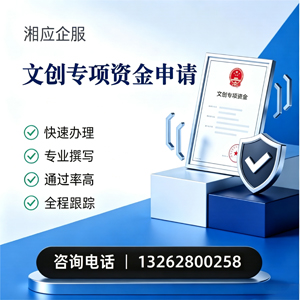 聊城文创专项资金申报服务