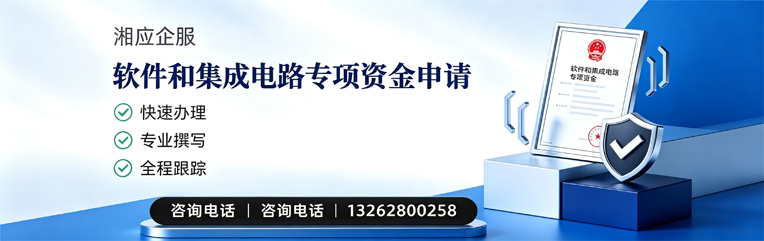 聊城软件和集成电路专项资金申报服务