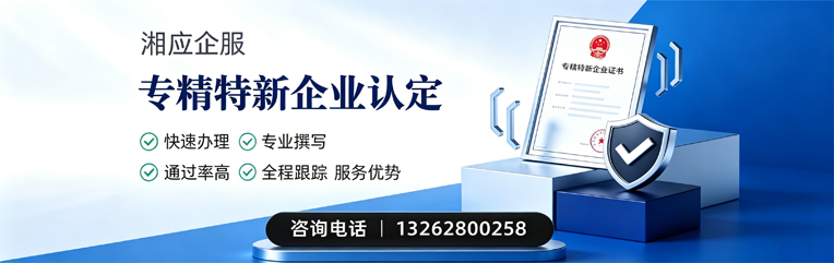 聊城专精特新企业申报服务