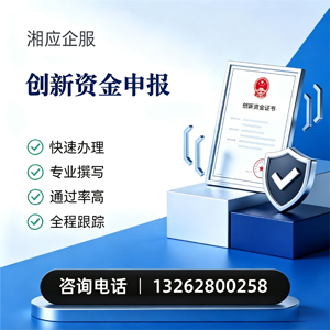 聊城创新资金申报服务