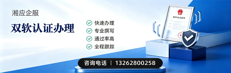 聊城双软认证申报服务