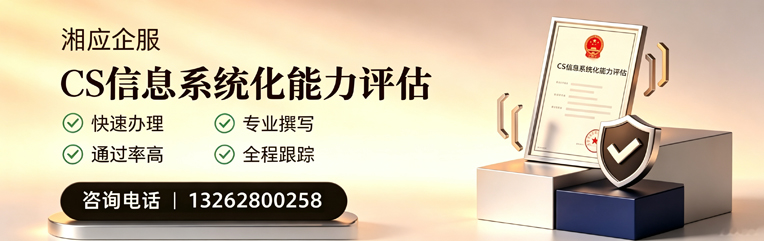 聊城CS信息系统化能力评估申报服务