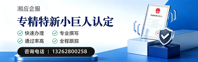 聊城专精特新小巨人申报服务